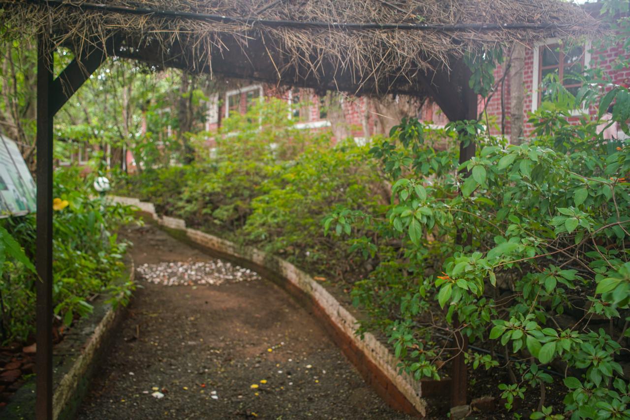 Sterling Nature Trails Dabhosa , Jawahar Birjpara Exterior photo